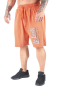 Preview: Shorts LpLimits Stonewashed Jersey Pique 6404-415